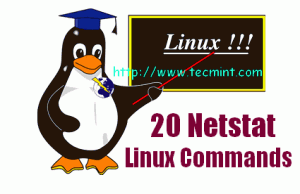 Linux Netstat Command