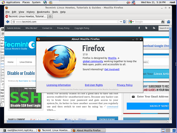 Firefox 17 screenshot