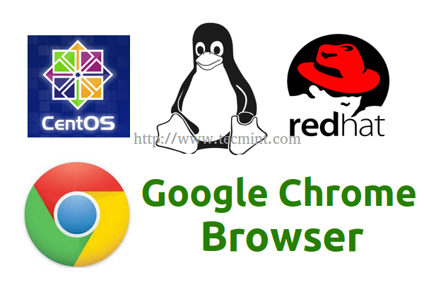 Install Google Chrome in Linux