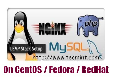 Install Nginx MySQL PHP in Linux