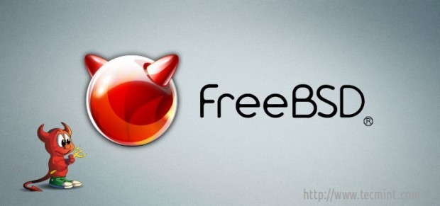 FreeBSD 10.1 Installation Guide