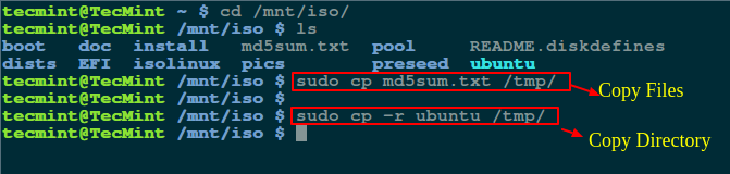 cp command in Linux/Unix