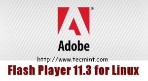Install Adobe Flash Player in Linux