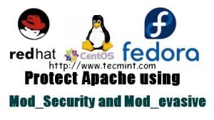 Install mod_security and mod_evasive