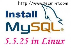 Install MySQL in Linux
