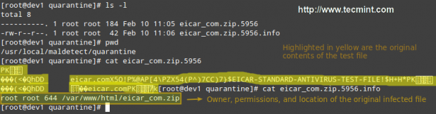 Linux Malware Detect Quarantine Files
