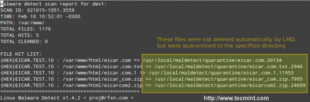 Linux Malware Scan Report