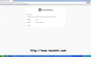 WordPress Login Screen