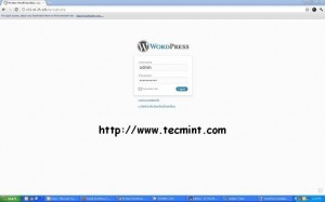 Enter WordPress Login Details