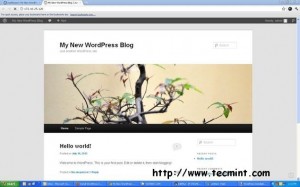 View WordPress Blog