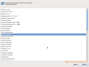 CentOS 6.3 Language Selection