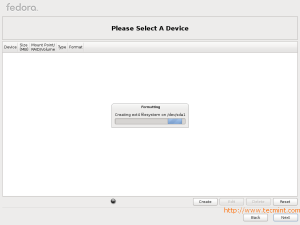 Fedora 17 Disk Formatting