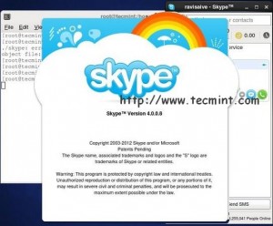 About Skype