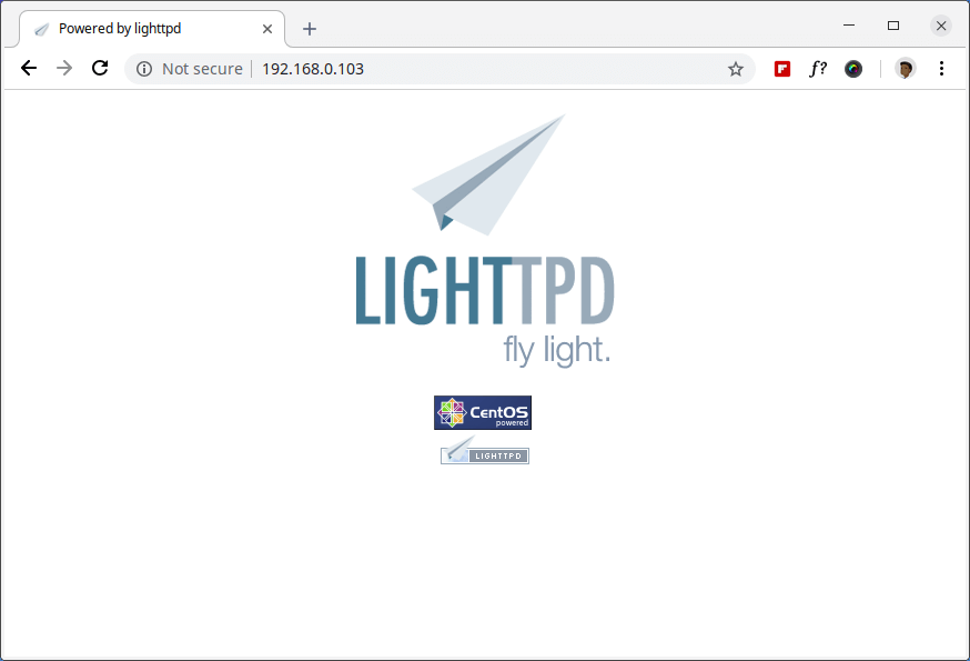  Verificar página Lighttpd 