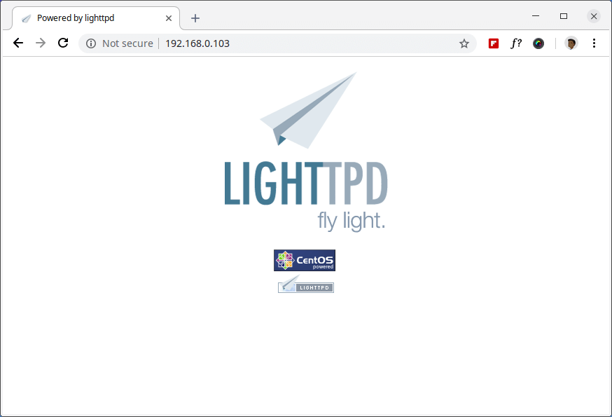 Überprüfen Sie die Lighttpd-Seite