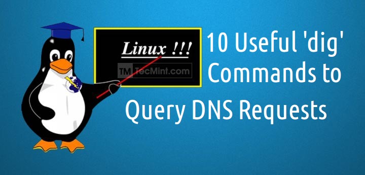 Dig Command Examples