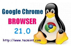 Install Google Chrome Browser in Linux