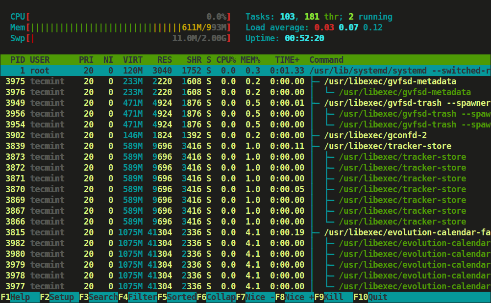 Htop Process View in Tree Format