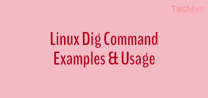 Linux Dig Command Examples