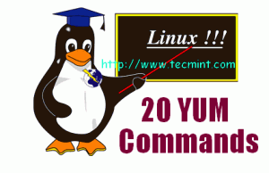 20 comandos de Linux Yum