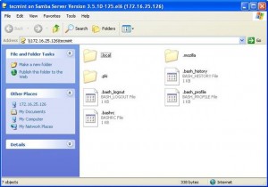 Samba Share on Windows