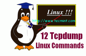 Linux tcpdump command examples