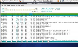 Htop Process Viewer
