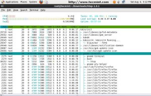 Htop Tree Process Viewer