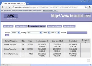 APC System Cache Entries