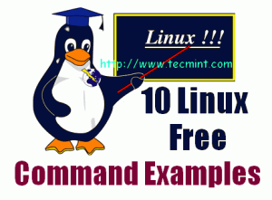 Linux Free command 