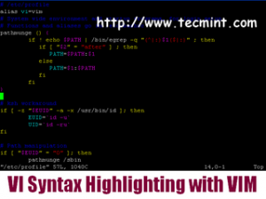 Syntax-Highlighting in VI Editor