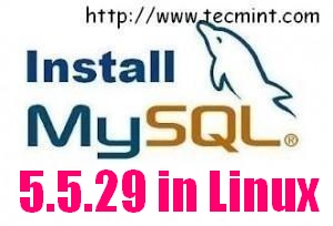 Install MySQL in Linux