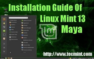 Linux Mint 13 Installation Guide