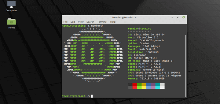 Linux Mint 20 Installation Guide