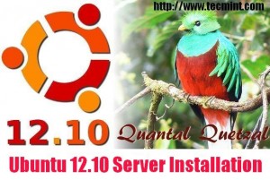 Ubuntu 12.10 Server Installation Guide