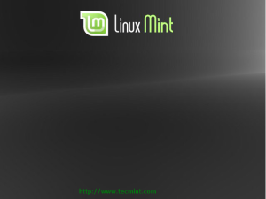 Installation of Linux Mint 13