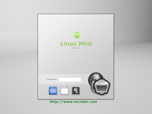 Linux Mint 13 Login Screen