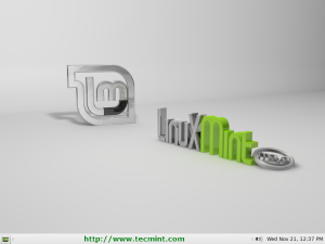 Preparation of Linux Mint 13