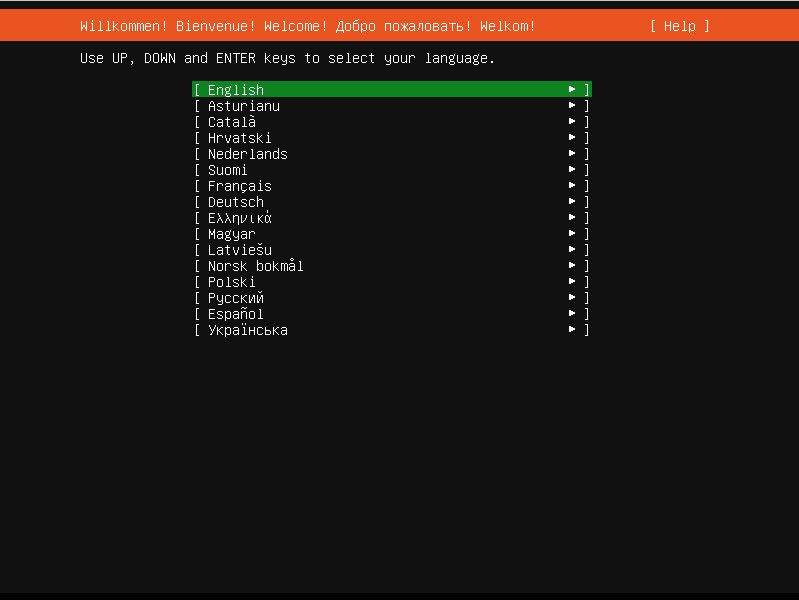 Select Ubuntu Installation Language