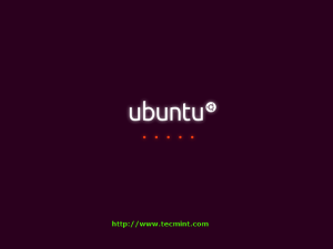 Ubuntu 12.10 Login Screen