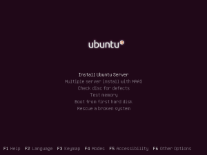 Install Ubuntu 12.10 Server