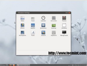 Cinnamon Settings