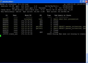 Mytop Monitoring