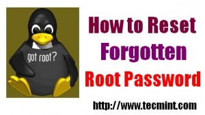 Reset Root Password