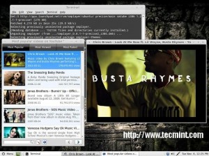 Install SMPlayer in Linux Mint 13