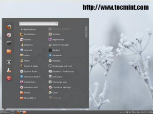 Cinnamon Desktop