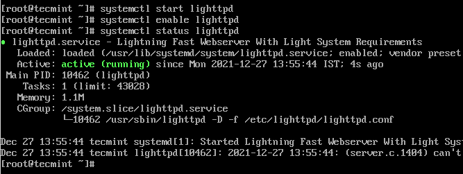 Check Lighttpd Status