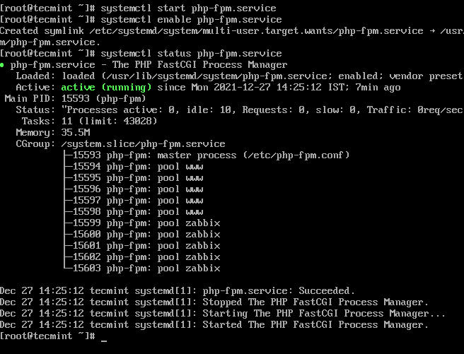 Check PHP-FPM Status