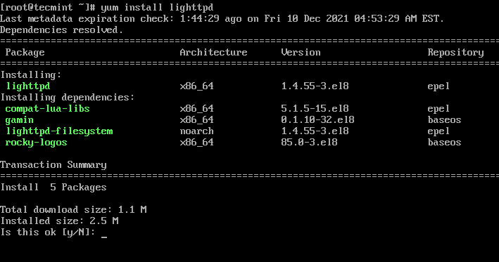 Install Lighttpd in Rocky Linux