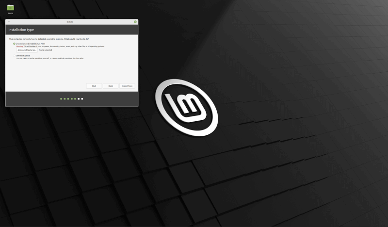 Linux Mint Installation Type